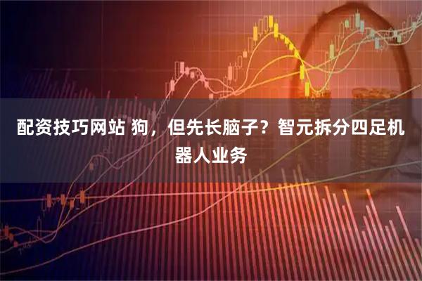 配资技巧网站 狗，但先长脑子？智元拆分四足机器人业务