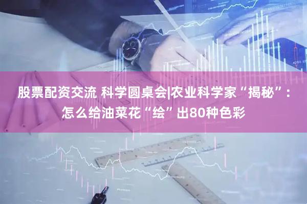 股票配资交流 科学圆桌会|农业科学家“揭秘”：怎么给油菜花“绘”出80种色彩